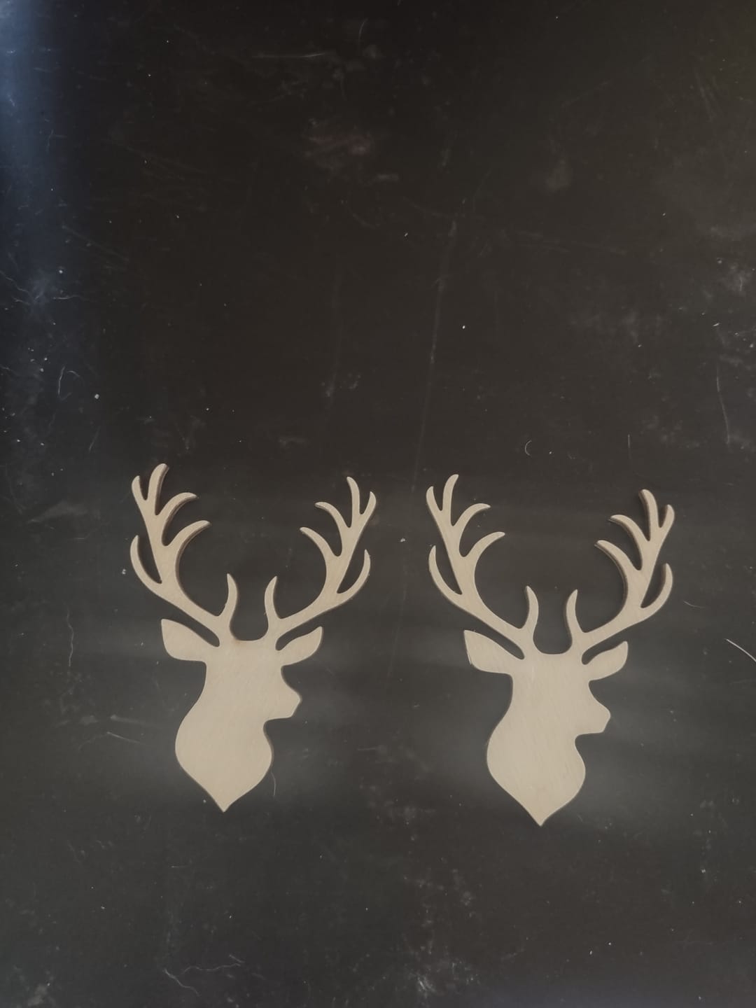 Customer photo review of Unfinished Wood Stag Antler Shape - Animal - Craft - up to 24" DIY