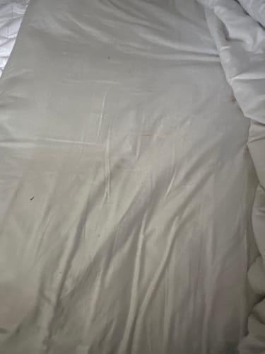 Customer photo review of Muscle Mat Luxury Mattress Topper - 4 Inches Thick