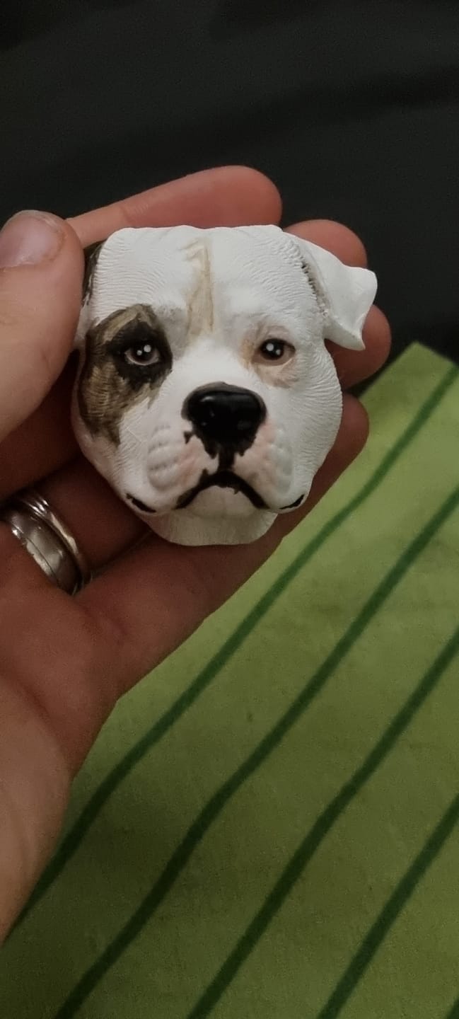 Customer photo review of Personalized Custom Pet Keychain/Magnet