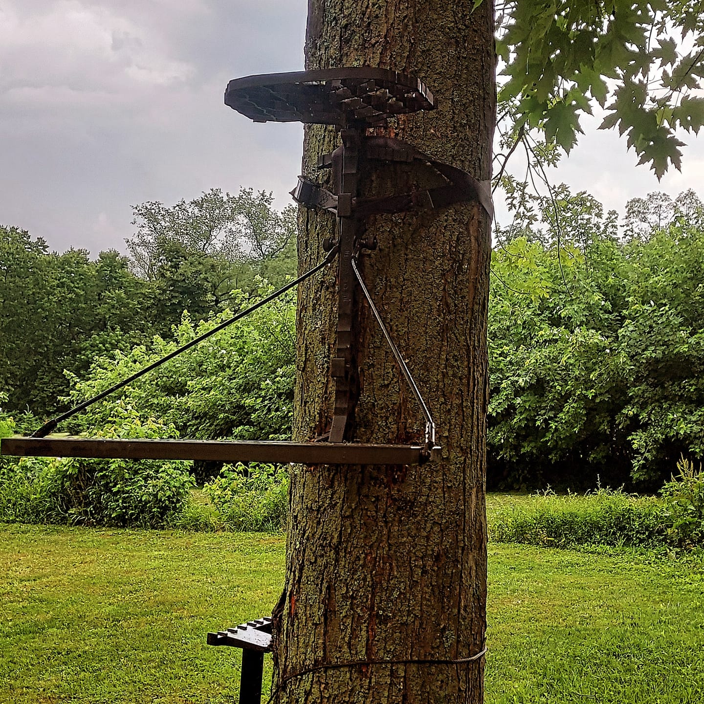 Customer photo review of D'Acquisto Series Hang-On .5 / Public Land Stand ™