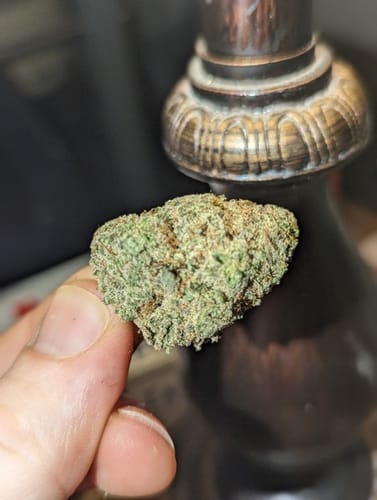 Customer photo review of AVENTUS8 FLOWER D-8 D-9 THC-P BLEND Blend Hawaiian Haze 18g