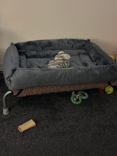 Customer photo review of Dark Grey Cuddle Soft & Dark Grey Velvet Luxury Nest