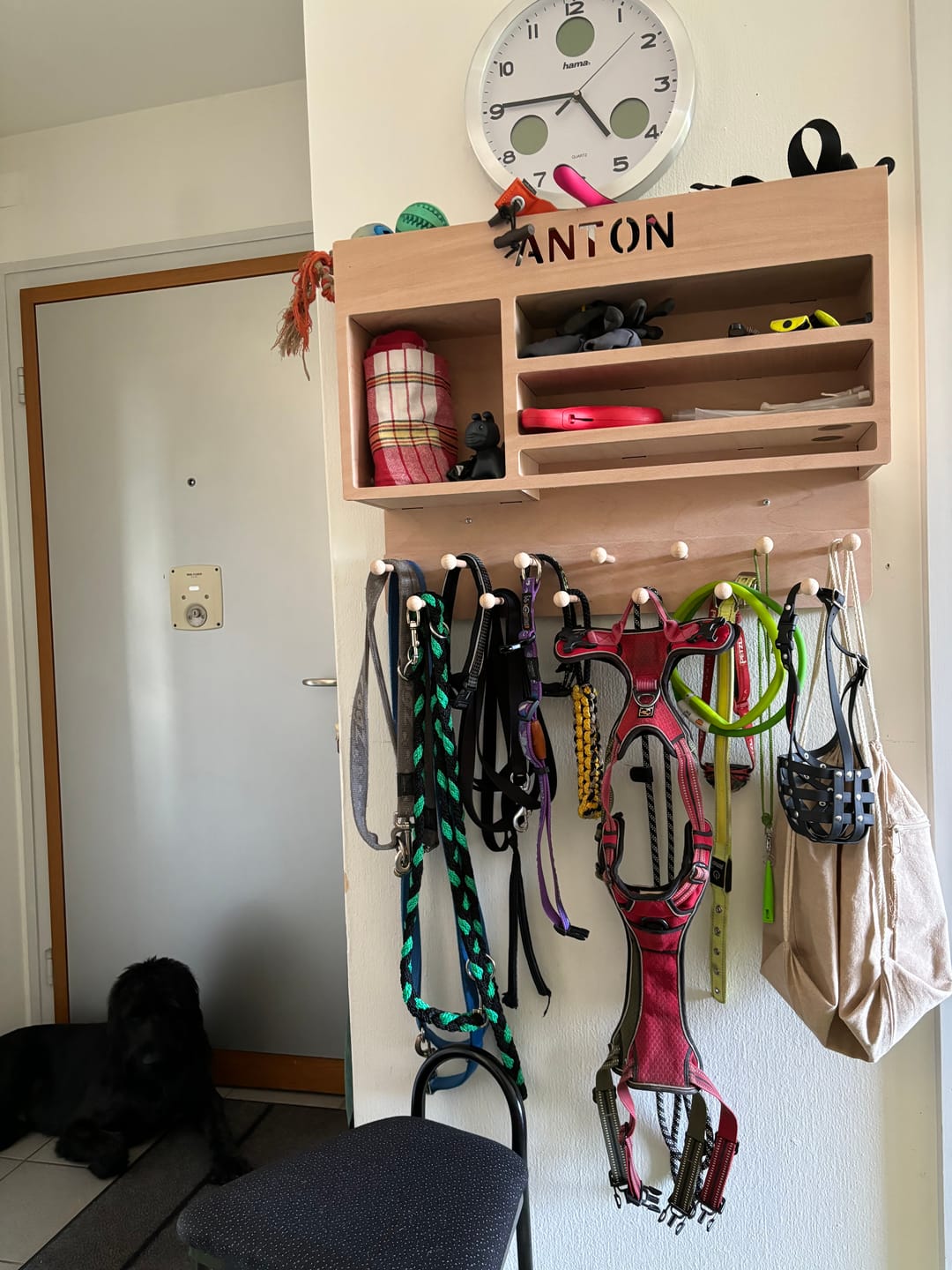 Customer photo review of Hundegarderobe Deluxe