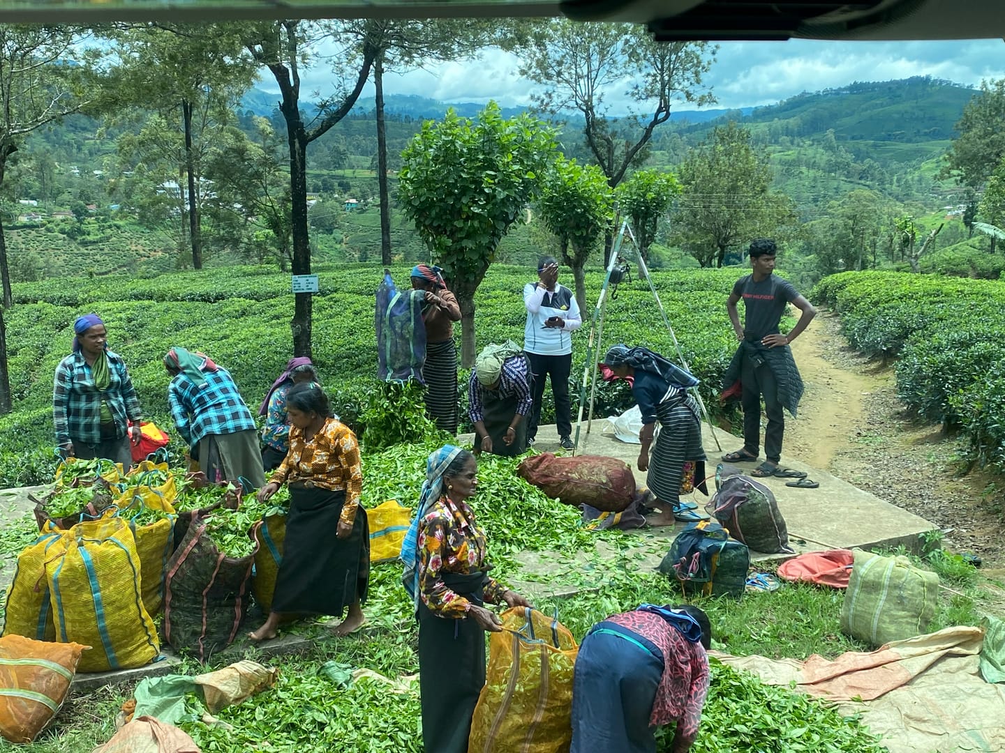 Customer photo review of SRI LANKA 5GB 15 Days