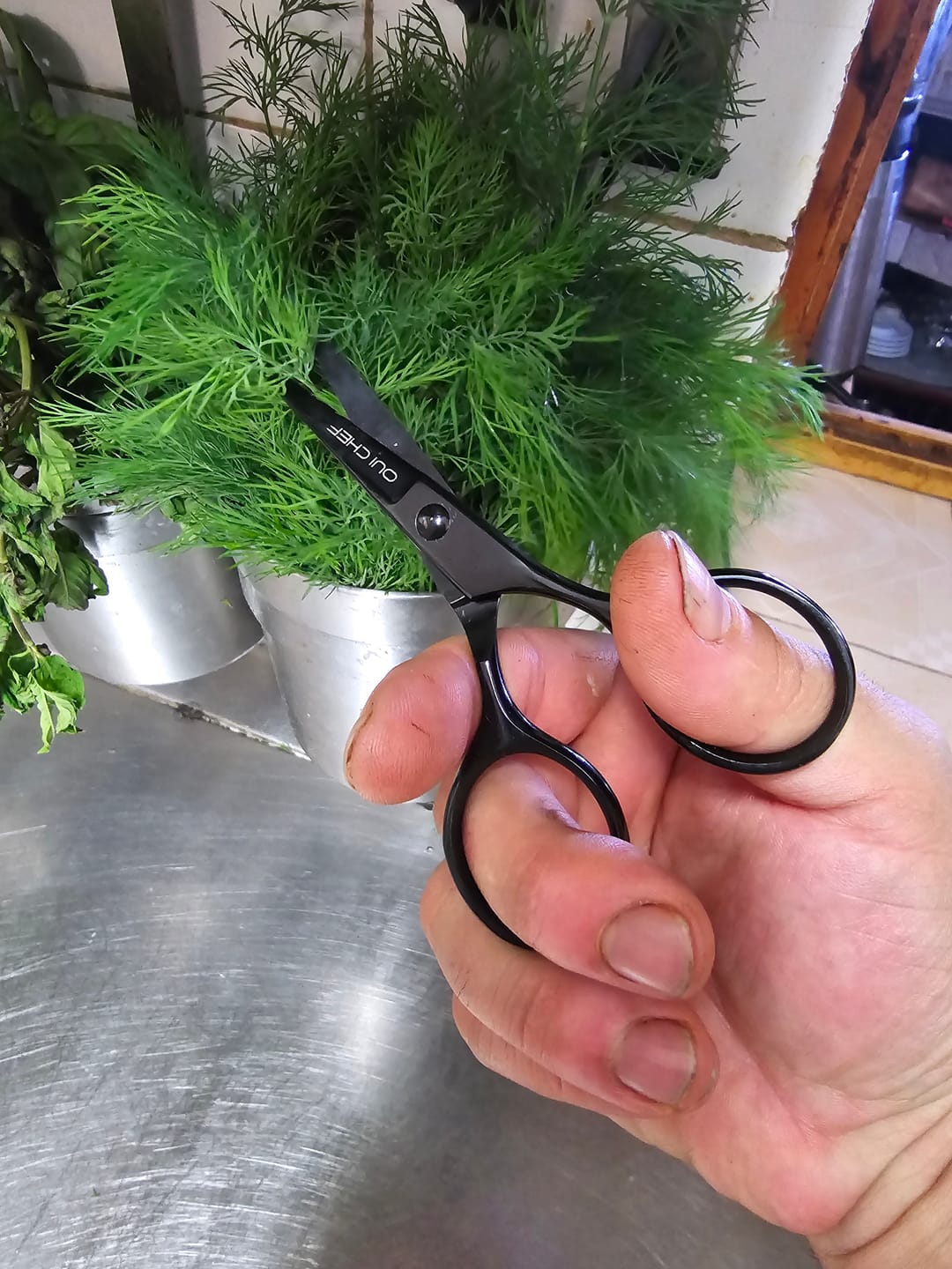 Customer photo review of SuperSharp Kitchen Scissors