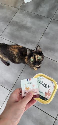 Avis photo d'un client sur Coffret Découverte Amour, Gloire & Pâtées - 32 x 100g pâtées