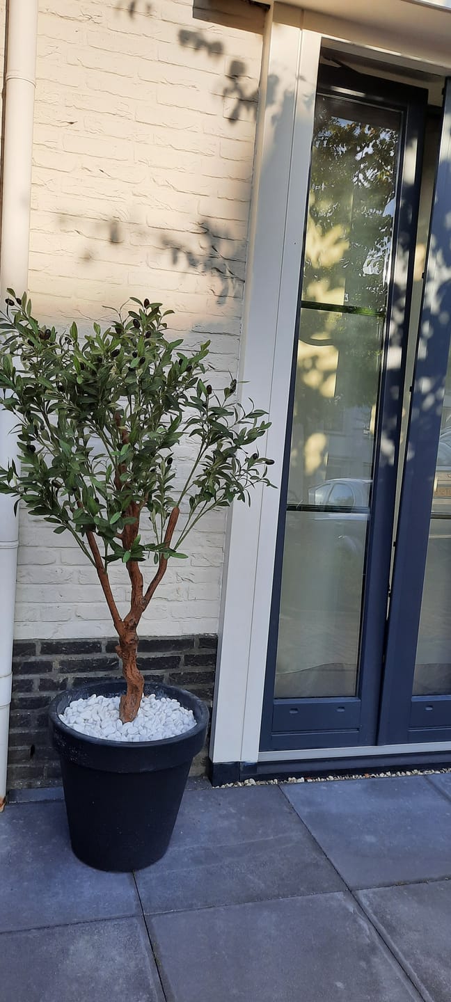 Customer photo review of Kunst Olijfboom 150cm (lichte stam)