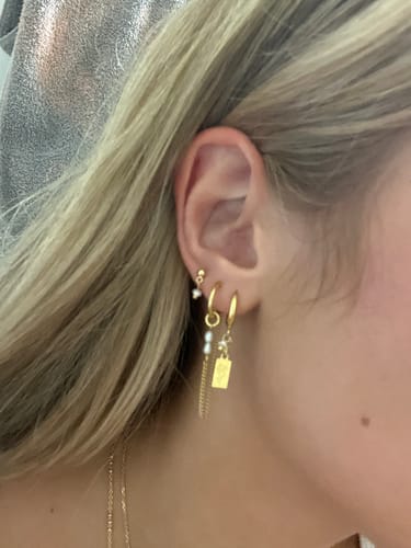 Customer photo review of Bar Earrings Set