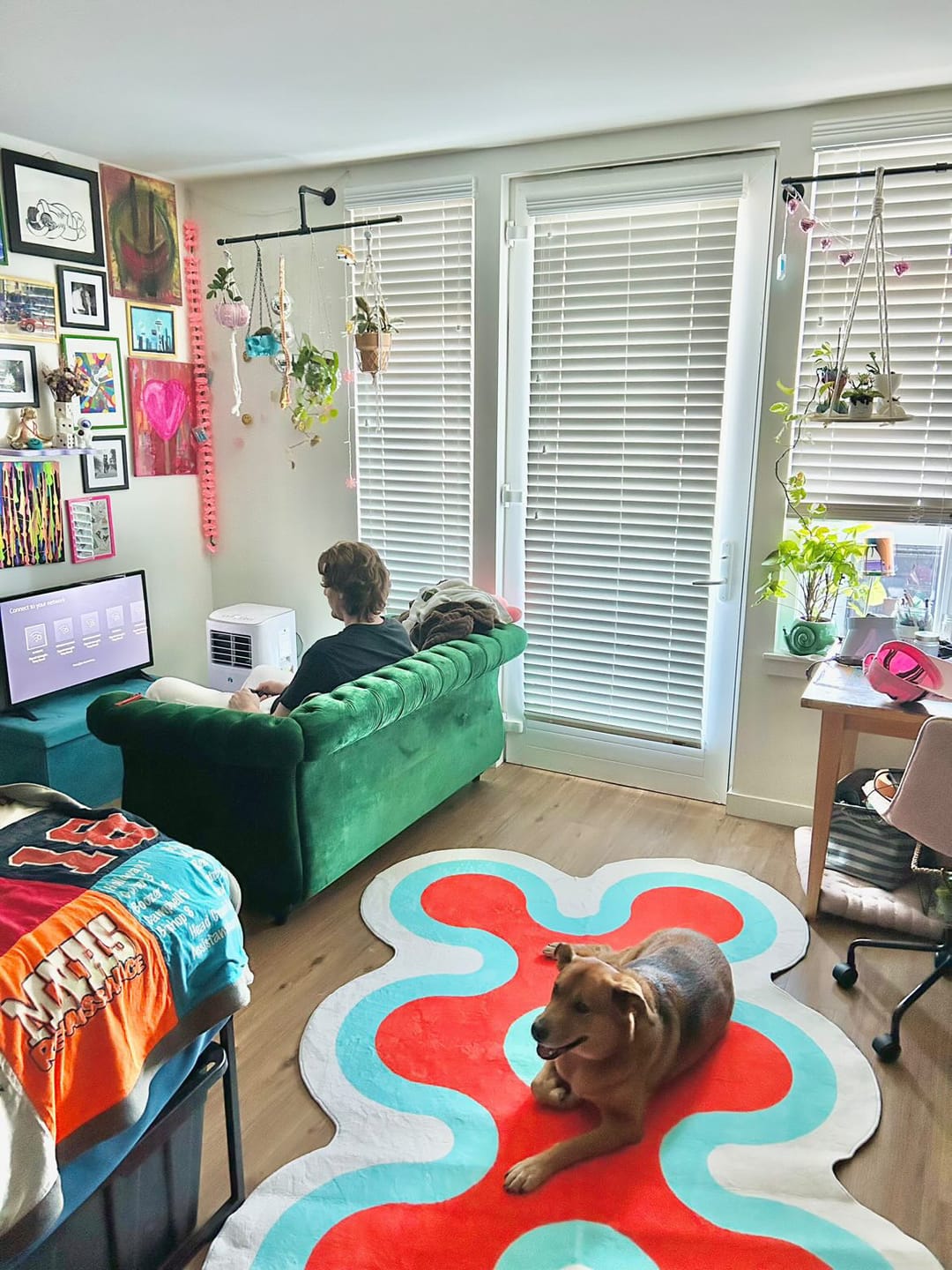 Customer photo review of Irregular Coral Design Rug by Johann Banta