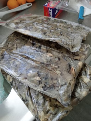 Customer photo review of Pacific Oyster Meat 1KG