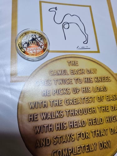 Customer photo review of 13 Year 40mm Gold & Silver AA Medallion - Bi-Plate Fancy Thirteen Year Chip/Coin