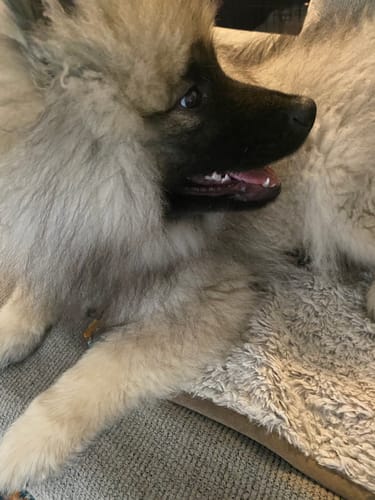 Customer photo review of LGND Gift Cards