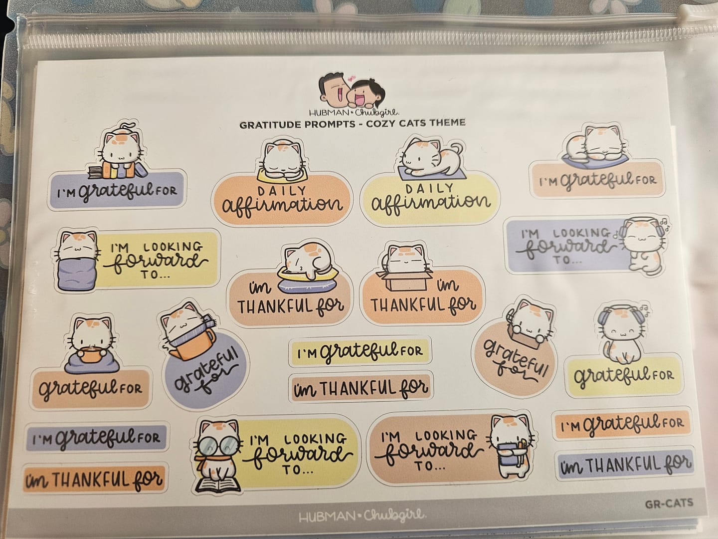 Customer photo review of Sticker Sheet - Gratitude Prompts Cozy Cat Theme