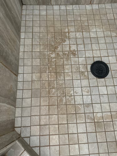 Customer photo review of Bathroom Concentrate 4x