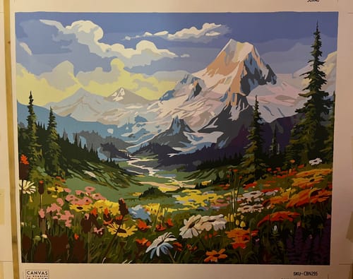 Customer photo review of Mountain Bloom Valley Painting by Numbers