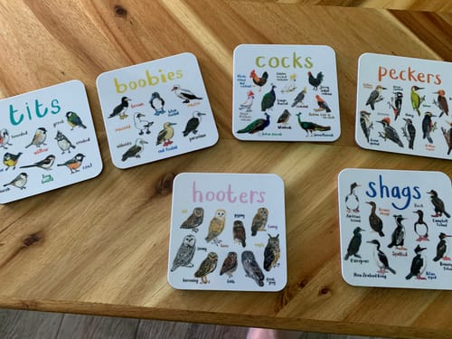 Customer photo review of Set of 6 Bird Pun Coasters