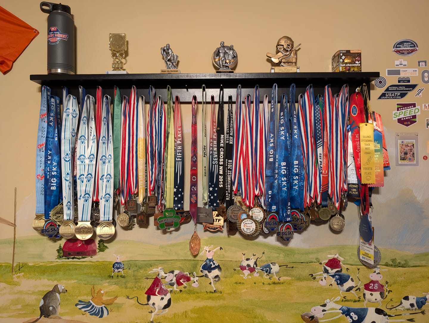 Customer photo review of 4ft Medal Awards Rack Premier Trophy Shelf- Trophy, Plaque and Medal Display