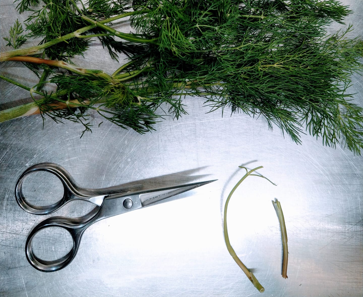 Customer photo review of SuperSharp Kitchen Scissors