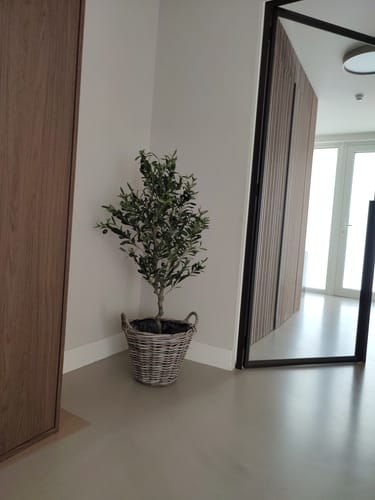 Customer photo review of Kunst Olijfboom 120cm