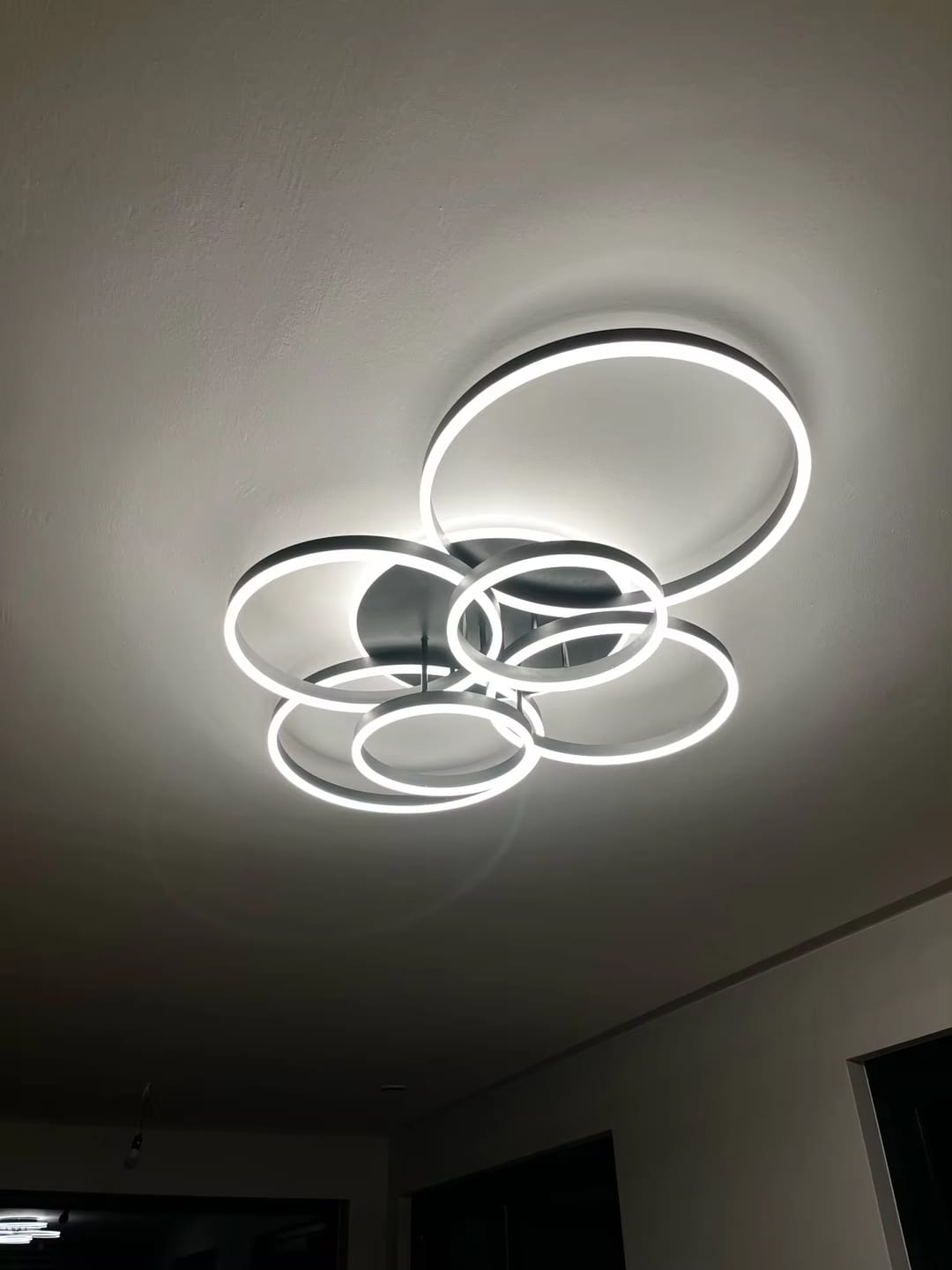 Customer photo review of WOMO Circular LED Flush Mount Ceiling Light-WM1032