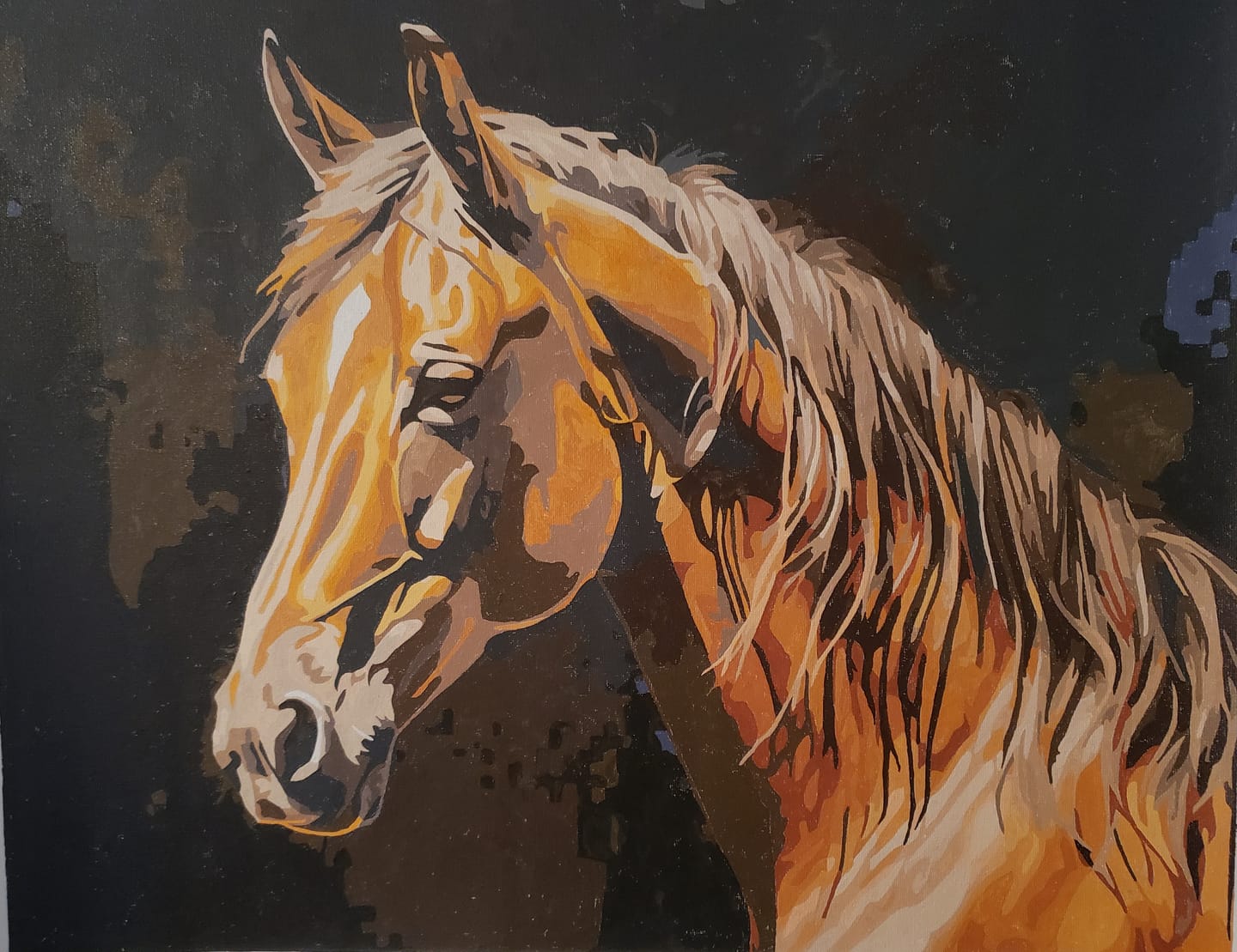 Customer photo review of Natural Brown Equine
