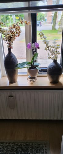 Fotorecensie van een klant over Zijden Bloesem - Oudroze