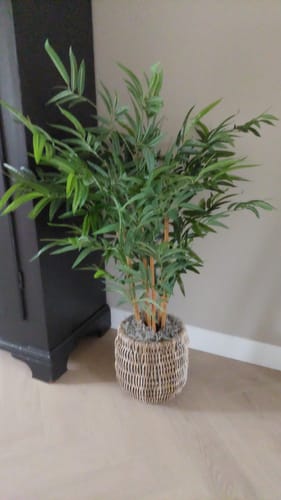 Customer photo review of Bamboe Kunstplant B 120 cm
