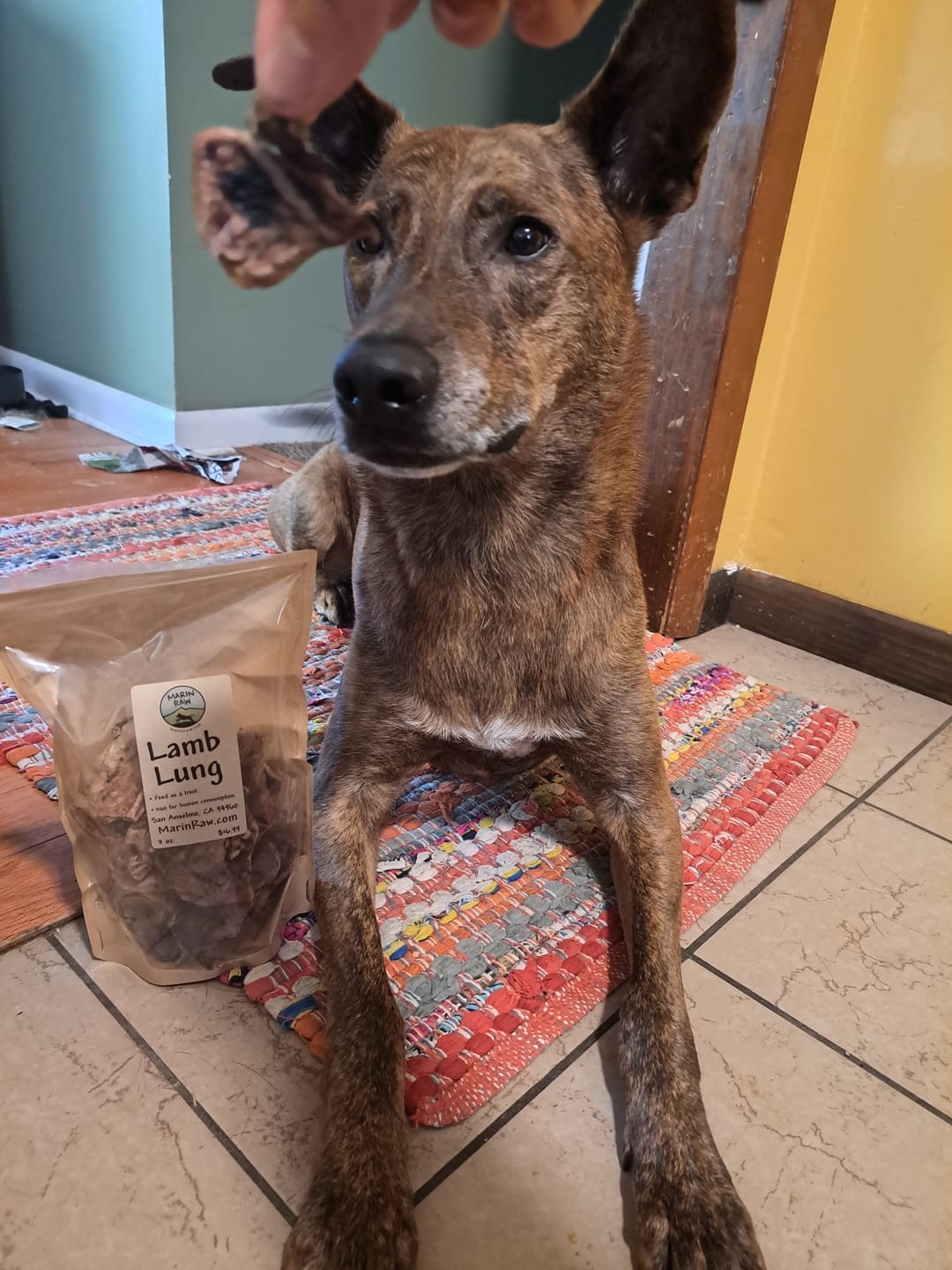 Customer photo review of Lamb Lung
