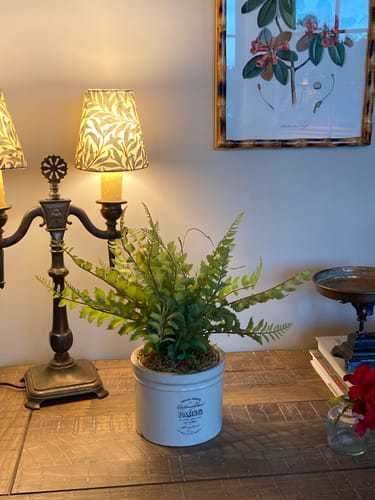 Customer photo review of Faux Cement Potted Fern