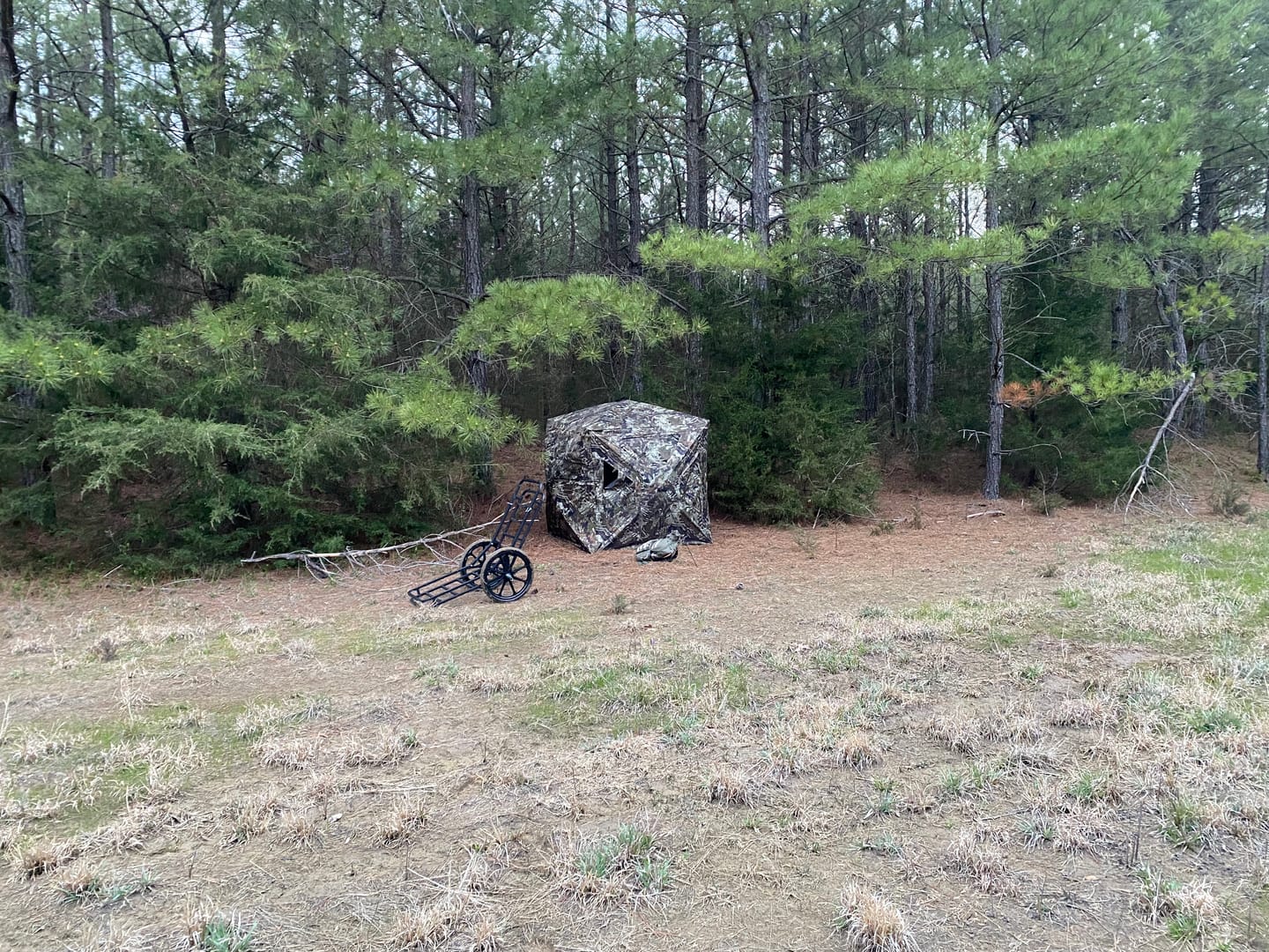 Customer photo review of Hunting Blind 270°See Through with Silent Magnetic Door & Sliding Windows, 2-3 Person Pop Up Ground Blind with Carrying Bag, Portable Durable Hunting Tent for Deer & Turkey Hunting(Camouflage)