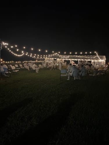 Customer photo review of LED Solar / USB Dual Power "Festoon" Globe String Lights