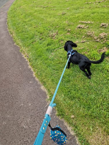 Customer photo review of Poo Bag Holder - Teal Leopard