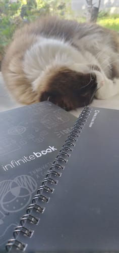Customer photo review of Infinitebook Lined A5 Black