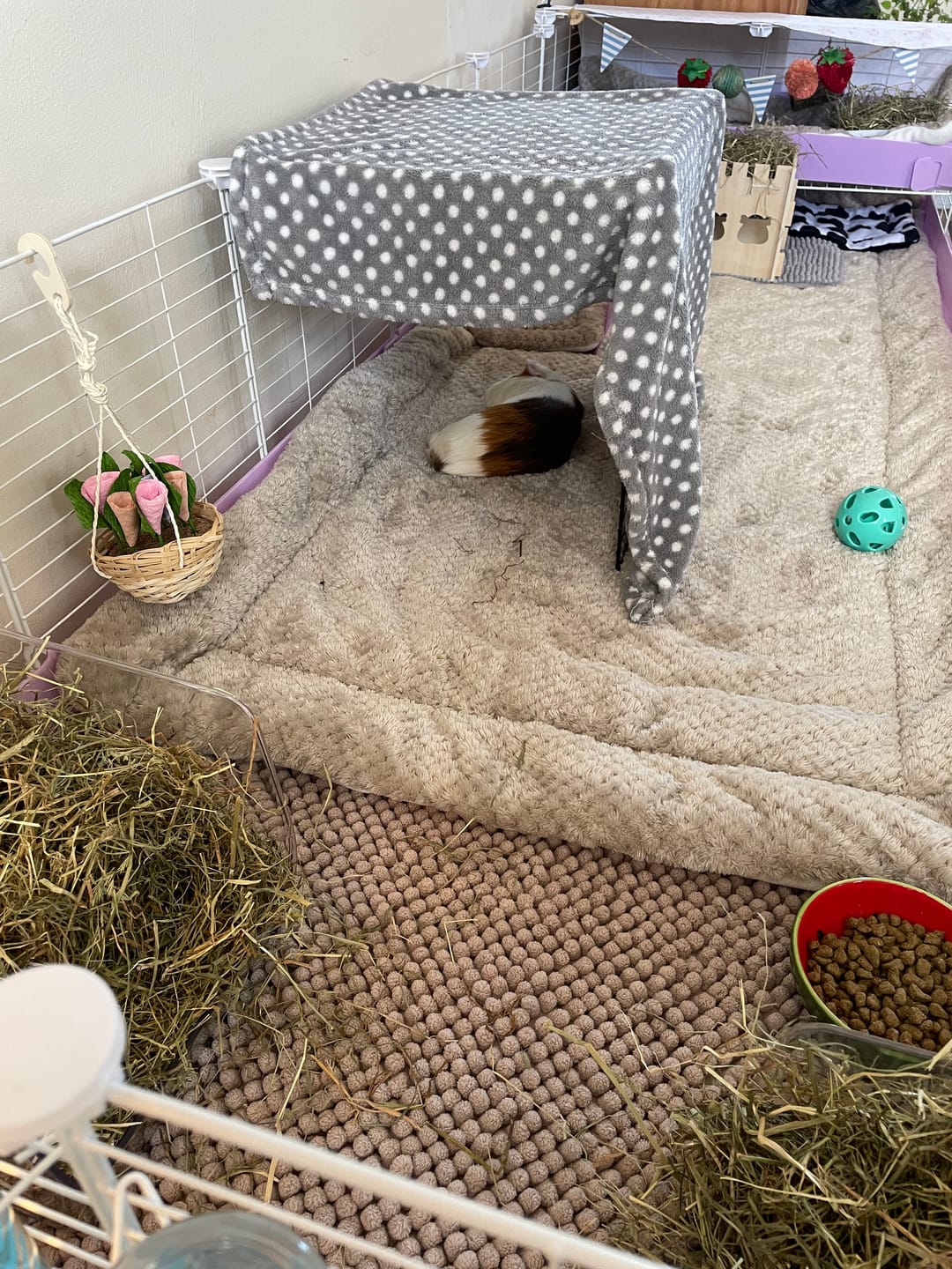 Customer photo review of Fleece Liners | Tranquil Taupe | Plush Bedding