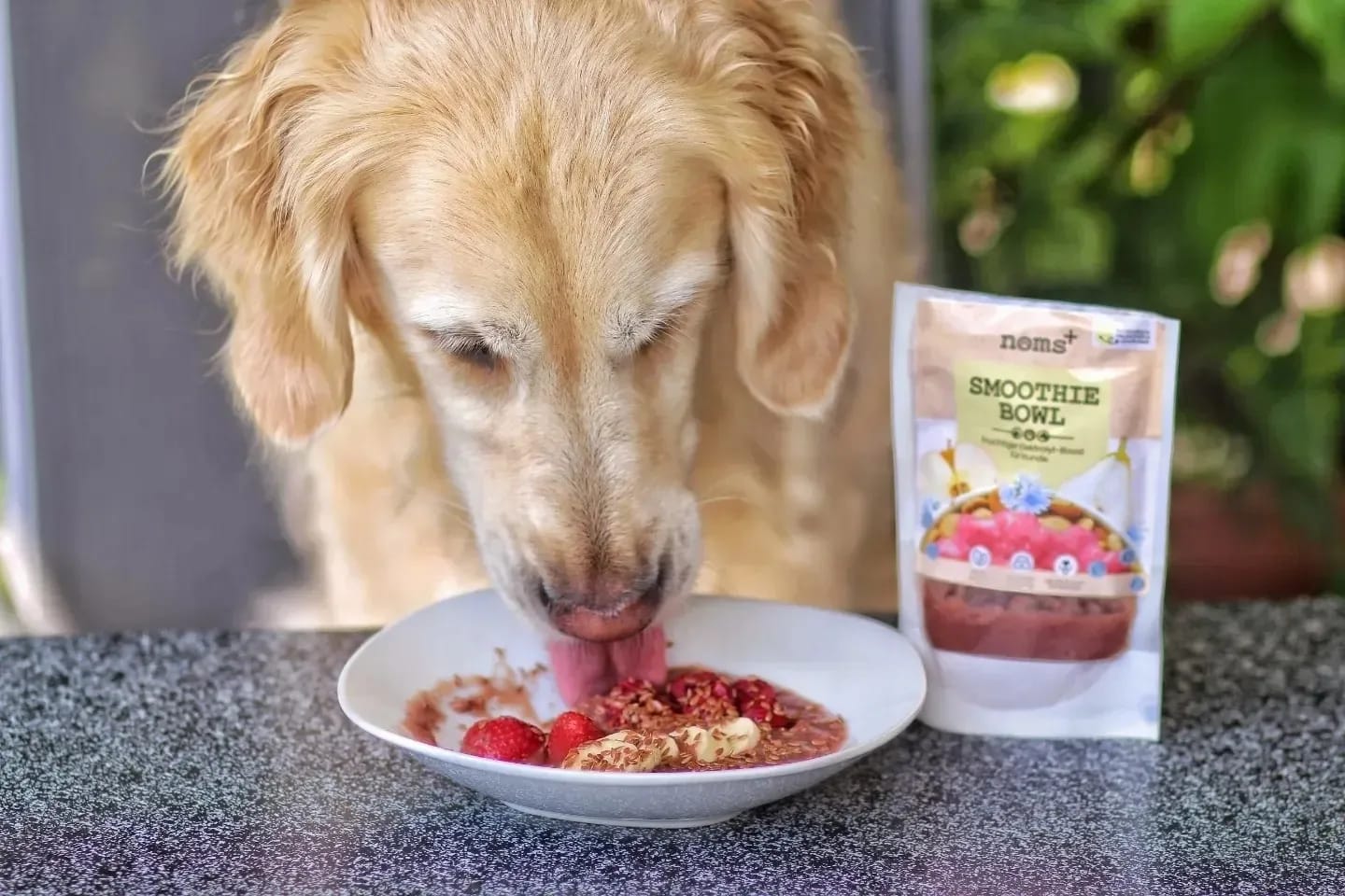 Customer photo review of Hunde Smoothie-Bowl: Der fruchtig frische Elektrolyt-Booster