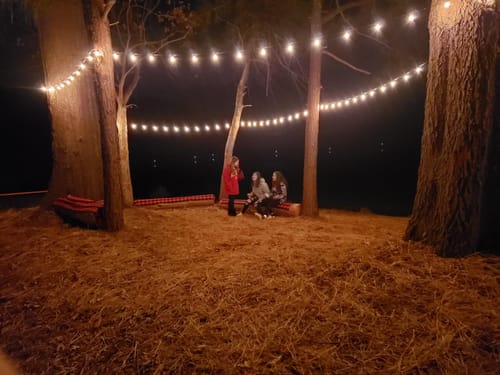 Customer photo review of LED Solar / USB Dual Power "Festoon" Globe String Lights