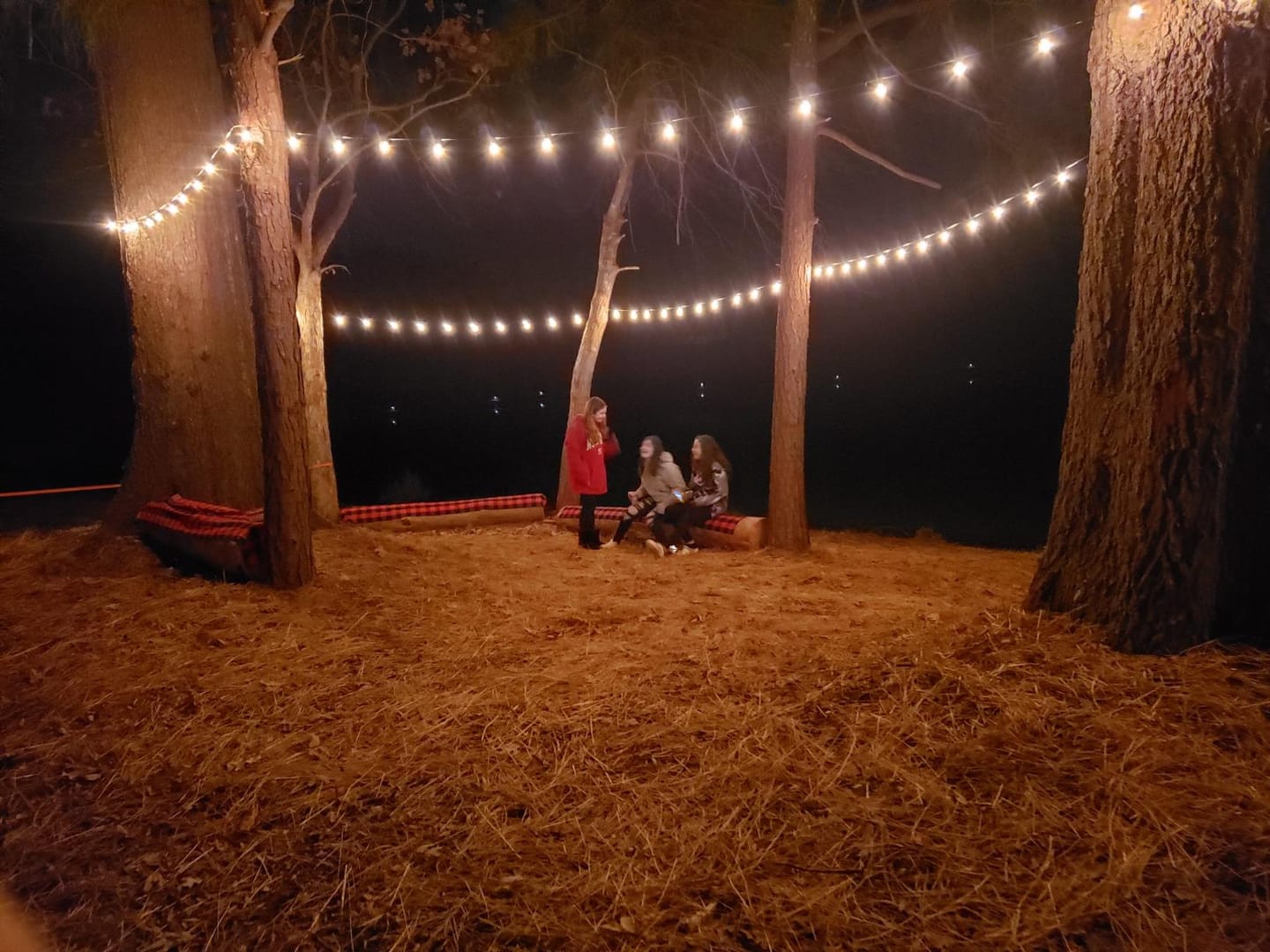 Customer photo review of LED Solar / USB Dual Power "Festoon" Globe String Lights