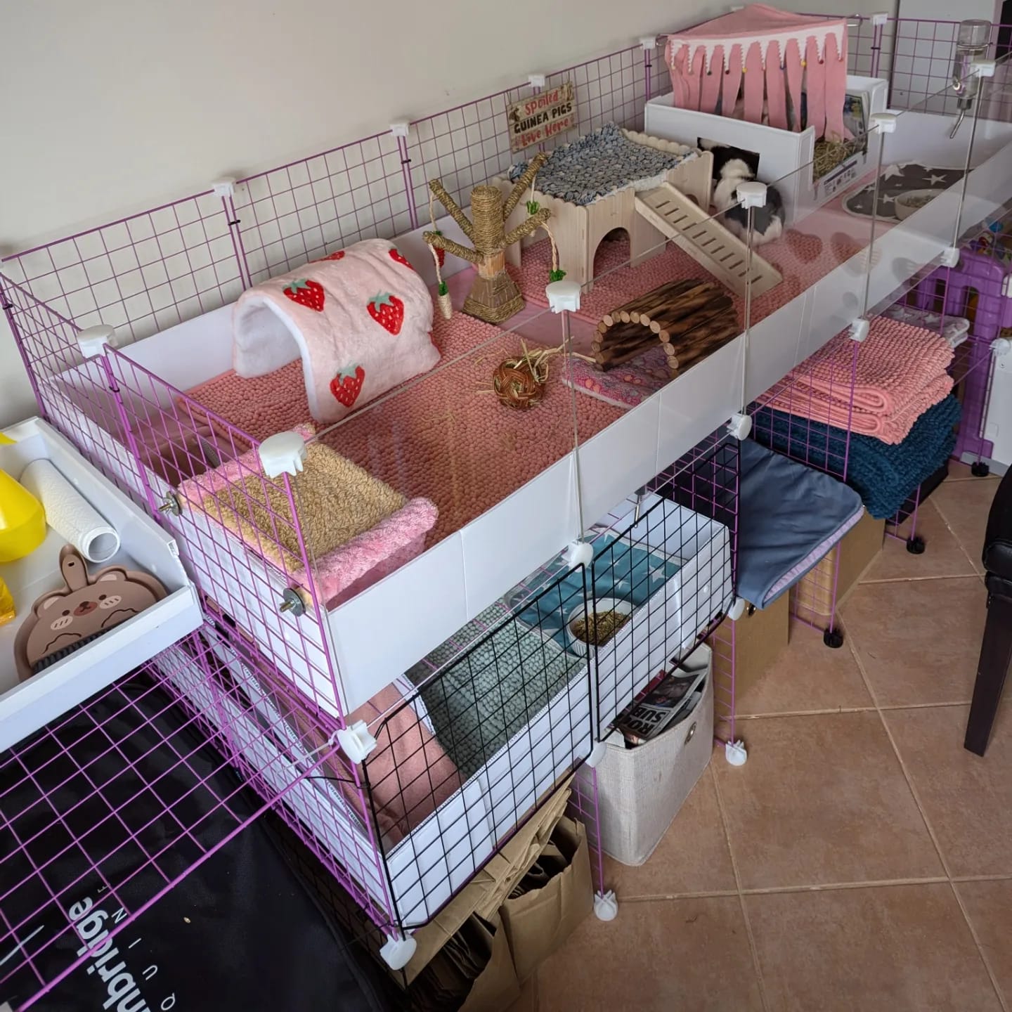 Customer photo review of 2 x 5 Ozzy C&C Cage Stand