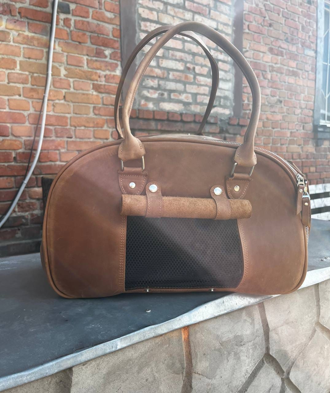 Customer photo review of Pet Carrier Classic