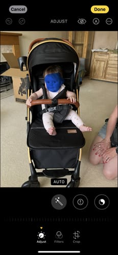 Customer photo review of Lejoux Go Pushchair