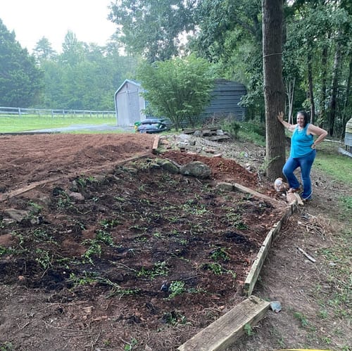 Customer photo review of Vinca Minor Bowles 50 count Flat