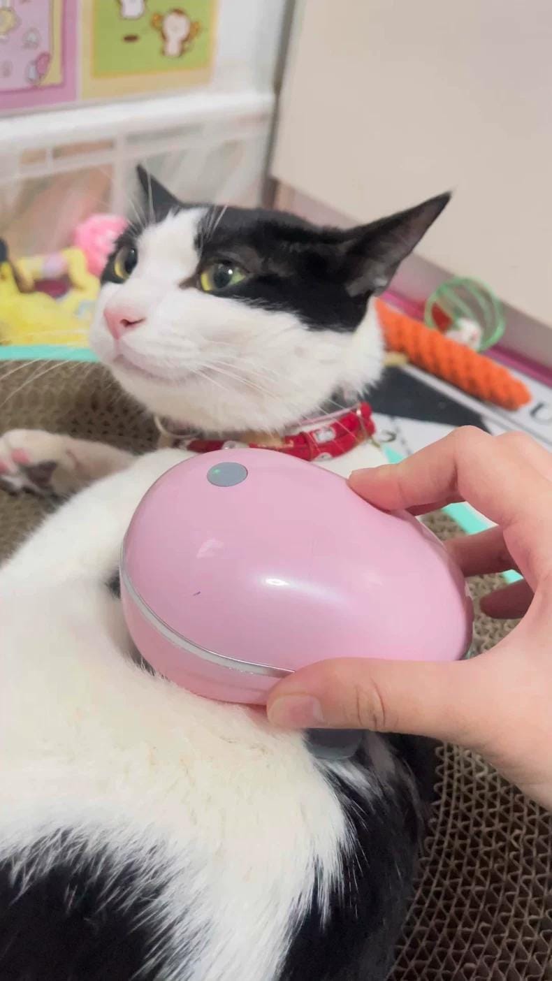 Customer photo review of Viva Comfort Rotation Spa Relaxation Massager For Dogs and Cats