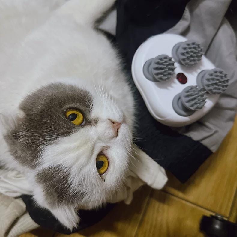 Customer photo review of Viva Comfort Rotation Spa Relaxation Massager For Dogs and Cats