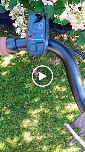 Customer video review of Daily D7
