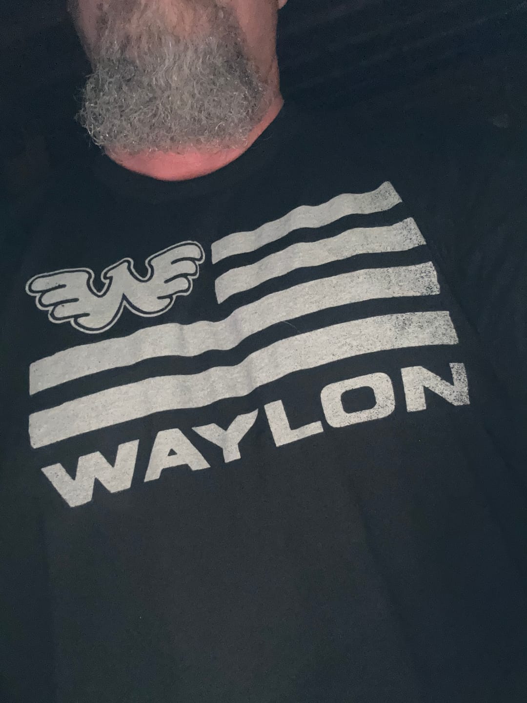 Customer photo review of Flying W and Stripes Men's Tee Shirt
