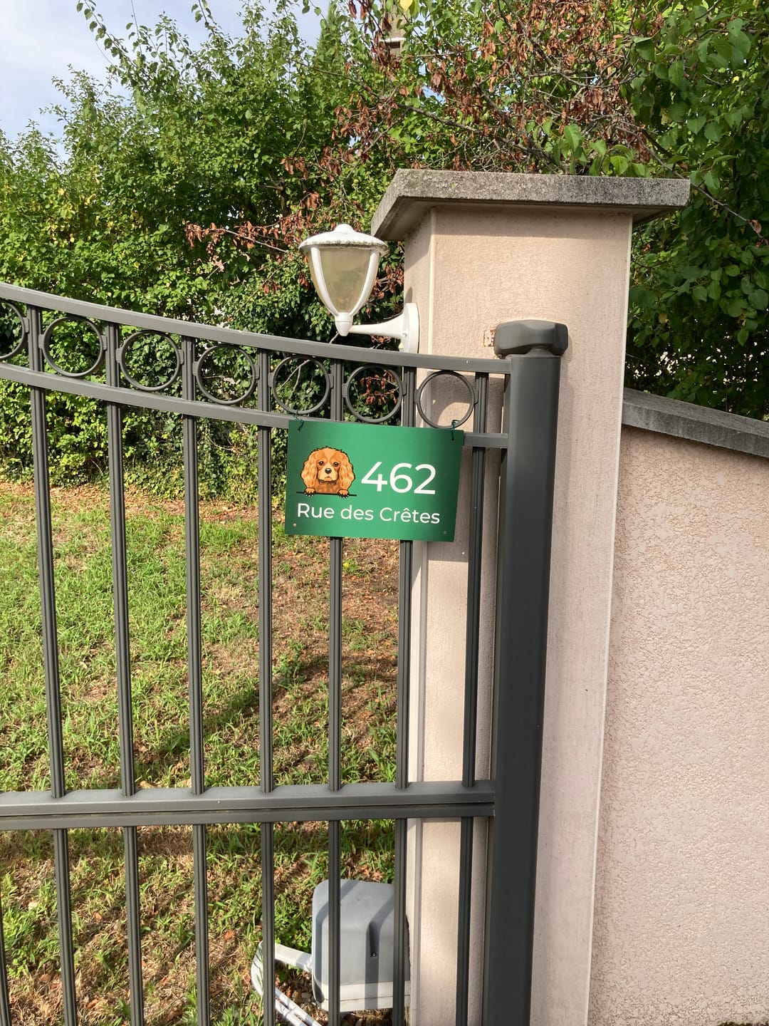 Customer photo review of Chiens curieux et numéro de maison - Plaque de porte personnalisée
