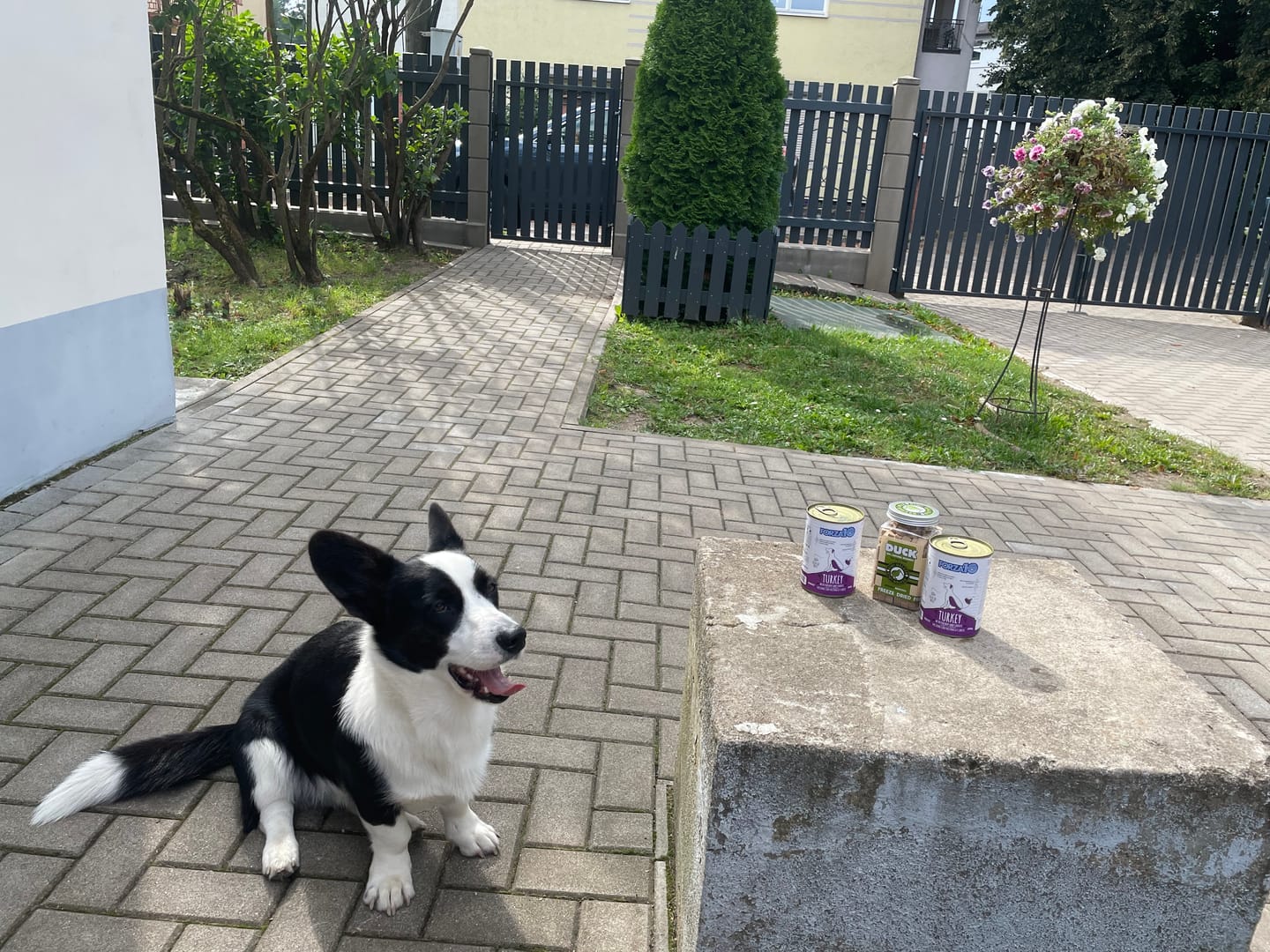 Customer photo review of Konservi suņiem ar TĪTARU, pastinakiem un burkāniem