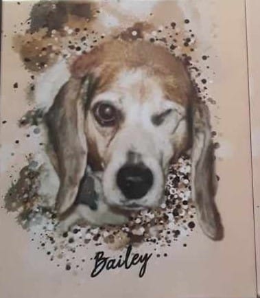 Customer photo review of Personalized Pet Art - Canvas