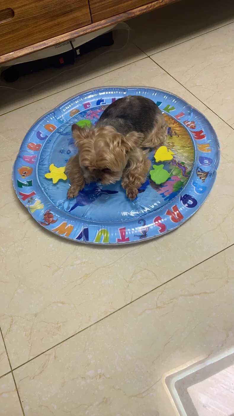 Customer photo review of [Sale] Upgraded Thickness Pet Cooling Water Bed