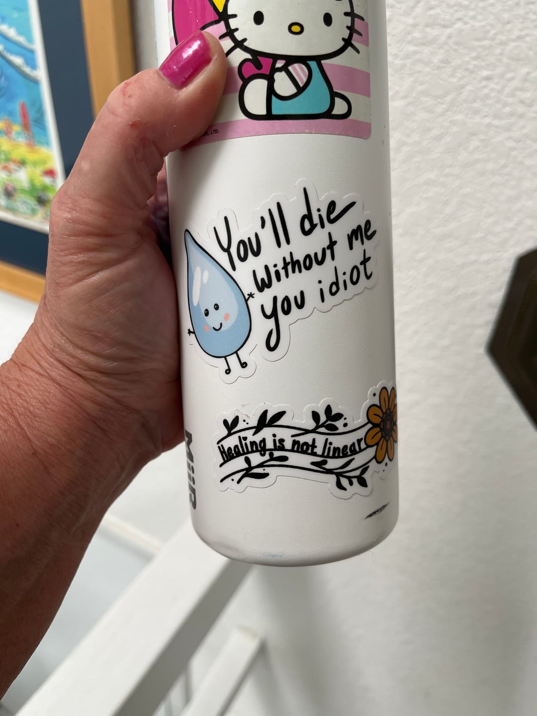 Customer photo review of "You will die without me you idiot" water sticker
